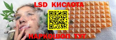 гашик Будённовск