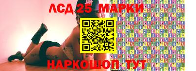 гашик Будённовск