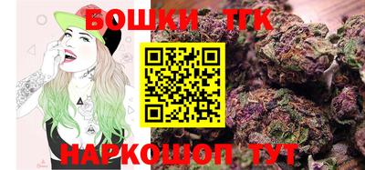 гашик Будённовск