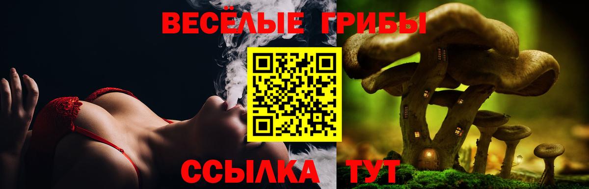 Лянтор  закладки  Вход с VPN  Псилоцибиновые грибы Cubensis 